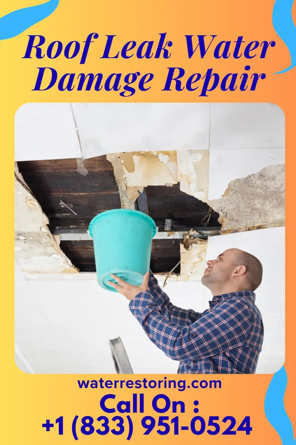Roof Leak Water Damage Repair in Dade City North, FL