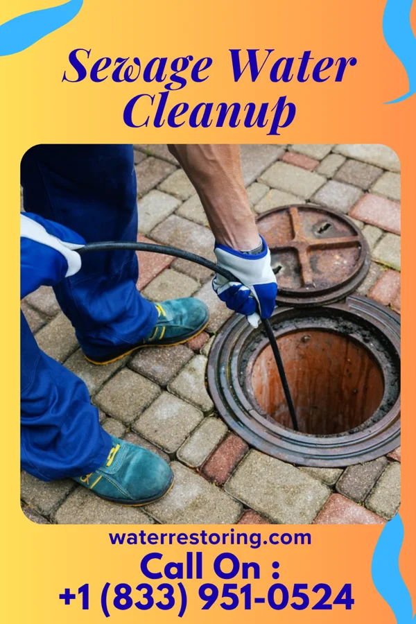 Sewage Water Cleanup in Dade City North, FL